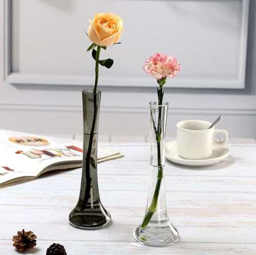 Transparent Clear Glass Bud Vase - 9.8 Inch Tall Round Bottom