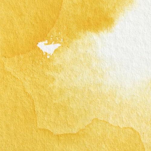 Winsor & Newton Professional Watercolor Half Pan - Cadmium Yellow, Vibrant & Permanent