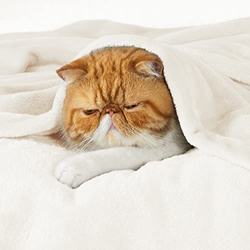 Bedsure GentleSoft Cream Throw Blanket - 50x60 Inches Cozy Fleece