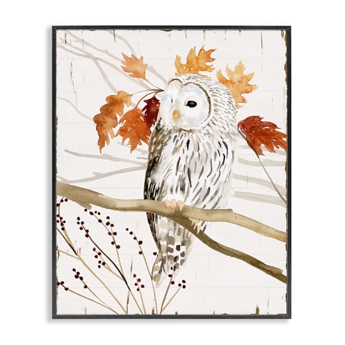 Stupell Industries Owl in Fall Forest Animal Watercolor Painting Black Framed Wall Art, 11x14, Design by Artist Victoria Borges