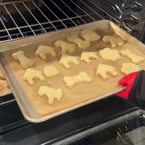 ANCKNE Stainless Steel Dog Bone Cookie Cutter Set - 4 Pieces