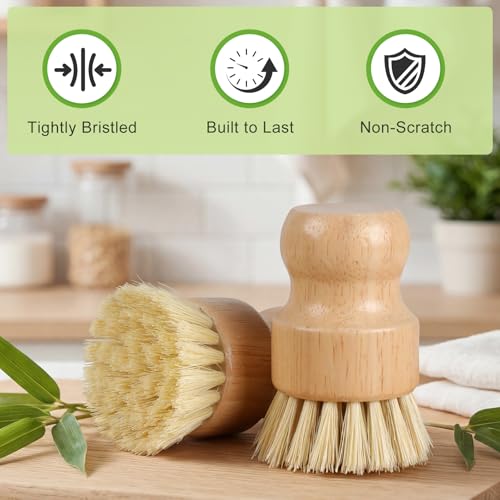Eco-Friendly Bamboo Dish Brush Set | Natural Wooden Scrubber with Sisal Bristles