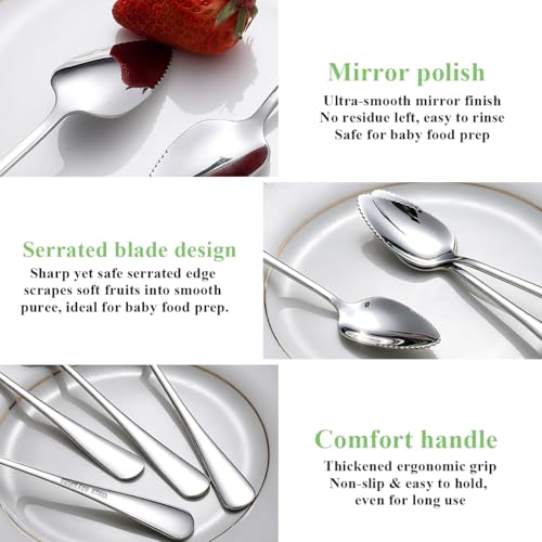 Berglander Serrated Grapefruit Spoons - 6-Piece Stainless Steel Utensil Set