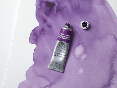 Winsor & Newton Professional Watercolour Half Pan - Tyrian Purple, Vibrant Single Pigment Paint