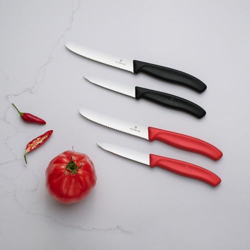Victorinox Swiss Classic 3.25-Inch Serrated Paring Knife - Black Kitchen Tool