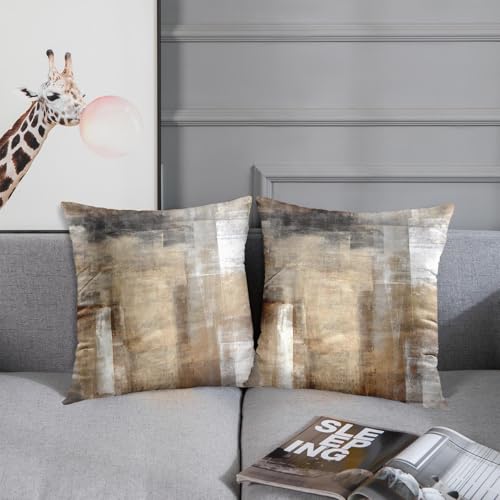 Britimes Set of 2 Grey Brown Beige 18x18 Inch Velvet Throw Pillow Covers
