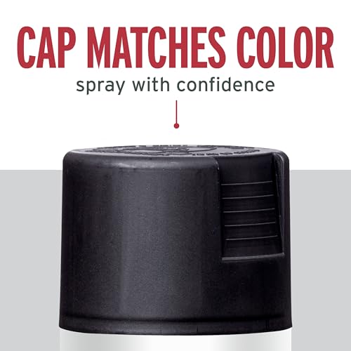 Rust-Oleum Stops Rust Satin Black Spray Paint - 12 oz (Pack of 4)