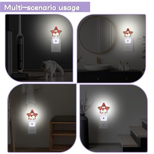 Snowman Bird Nightlight with Auto Sensor - Christmas Night Light for Bedroom, Nursery, Hallway, Gift - Snowman Bird Variation