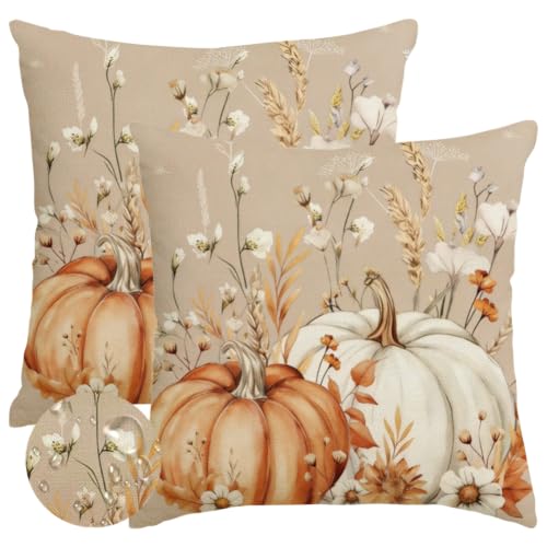 Fall Pumpkin Throw Pillow Covers 18x18, Waterproof Brown Set of 2