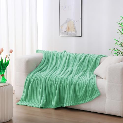 Mint Green Fleece Throw Blanket 50"x60" for Couch & Sofa