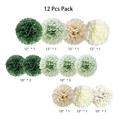 Sage Green Tissue Paper Pom Poms - 12-Piece Party Decoration Set