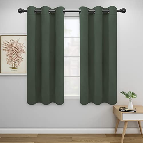Easy-Going Thermal Blackout Curtains, 42x54 in, Greyish Green - 2 Panels
