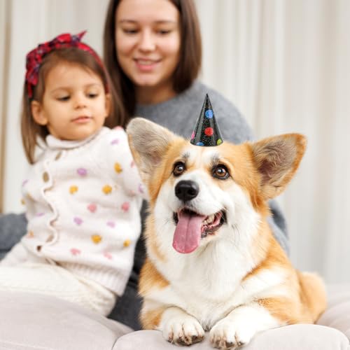 40 Mini Birthday Hats for Stuffed Animals & Pets - Party Decorations