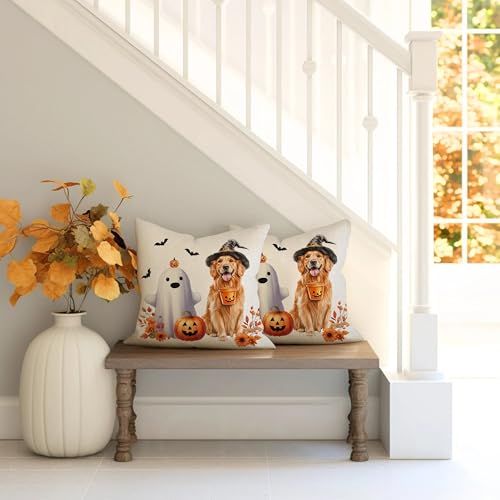 Halloween Pillow Covers Set of 2 - 18x18 Inch Ghost & Dog Decor