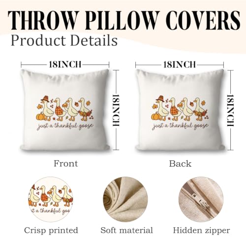Fall Farmhouse Thanksgiving Goose Throw Pillow Cover 18x18, Fall11