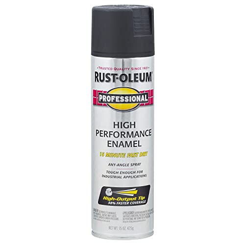 Rust-Oleum Professional Flat Black Spray Paint - 15 oz, Rust Resistant