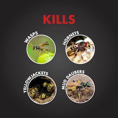 SpectracidePRO Wasp & Hornet Killer Spray, 18 Oz - Pack of 1