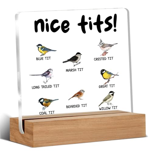 Funny Acrylic Sign for Bird Lovers - 4x4 Inch Desk Decor