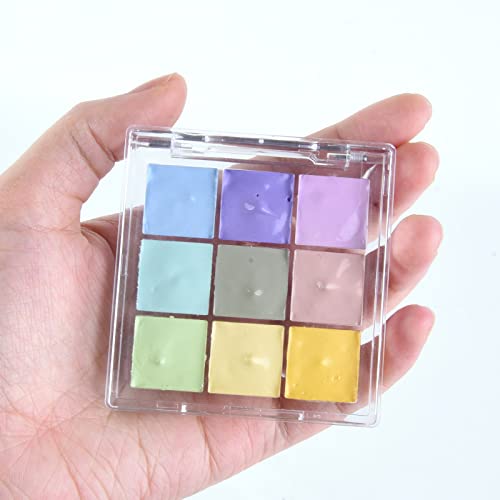 9-Well Clear Plastic Paint Storage Palette Box for Travel