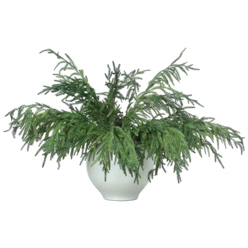 Artificial Christmas Norfolk Pine Branches - 12 Pack, 30 Inches Tall - Holiday Decor