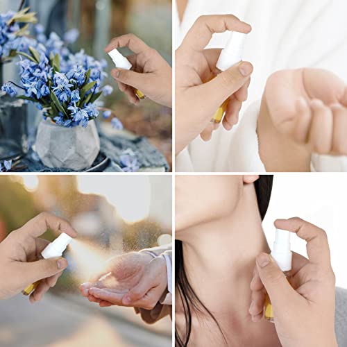 FOHOLA 20ml Clear Travel Spray Bottles Refillable Mist Atomizer Set 2 Pcs