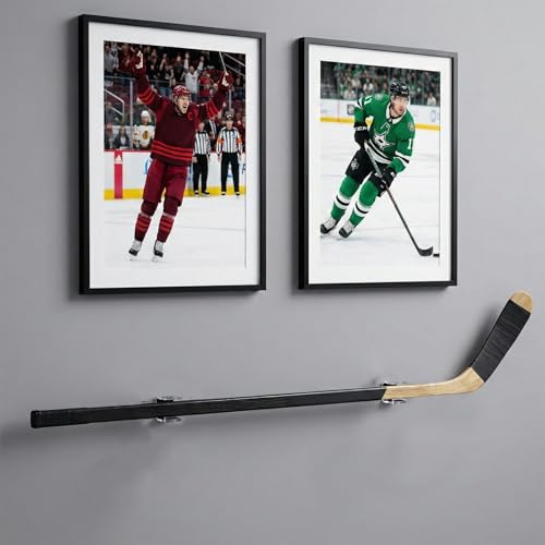 Psiriol 2-Piece Acrylic Hockey Stick Wall Mount Display Rack