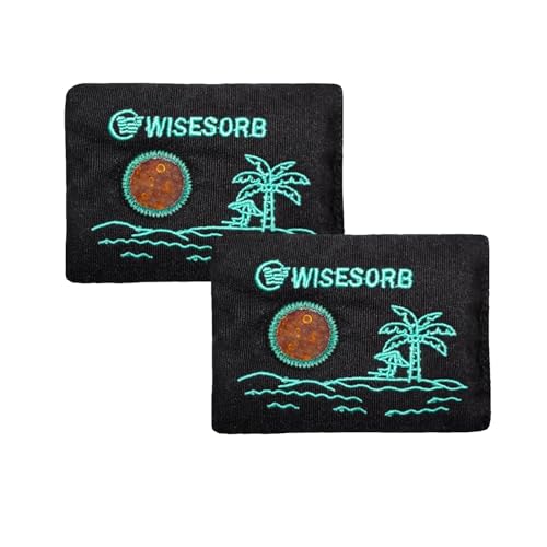 Wisesorb 100g Reusable Desiccant Packs - Moisture Absorbers with Window, 2pcs