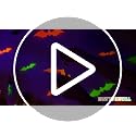 LOLStar 72-Piece 3D Neon Glow Halloween Bat Wall Decals, Fluorescent Decor
