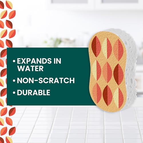 Scotch-Brite Harvest Pop Up Kitchen Sponges - 3 Count