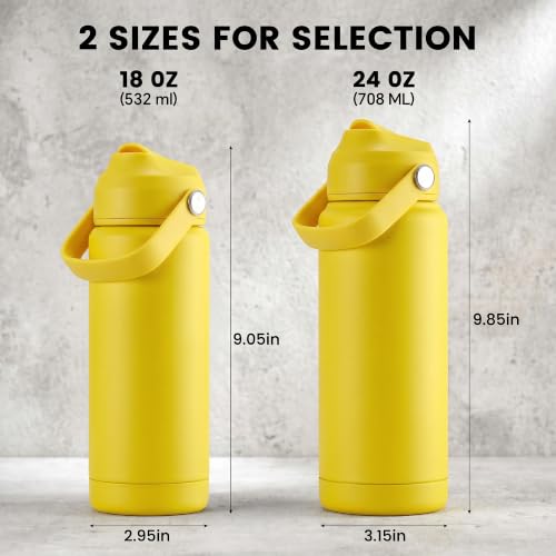 Fijinhom 18oz Insulated Stainless Steel Water Bottle with Straw