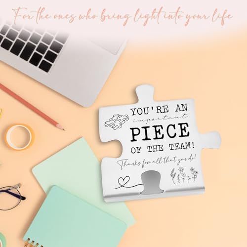 Puzzle Piece Desk Sign Appreciation Gift for Coworker Employee