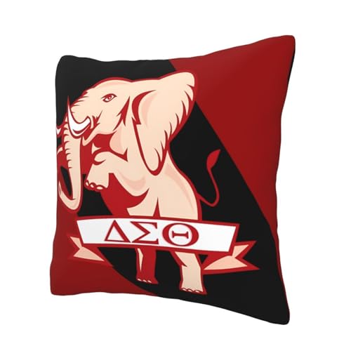 White 18x18 Inch Sorority Throw Pillow Cover - Decorative Couch & Bed Accent