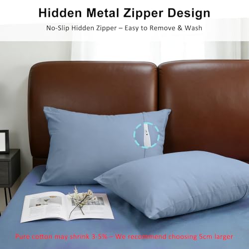 Lirex Queen Pillow Cases Set of 2, Light Gray Blue, 300 Thread Count