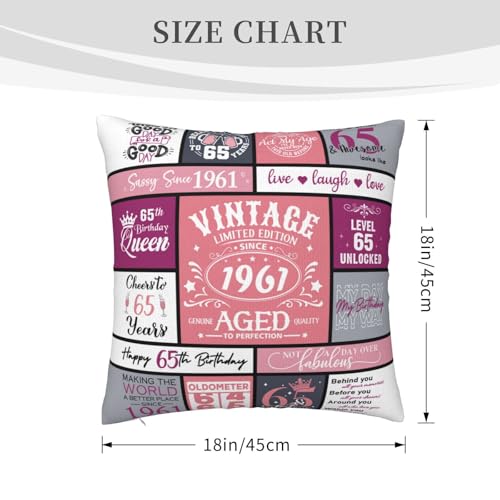 65th Birthday Pillow Cover for Women - 18x18 Inches, Soft Polyester