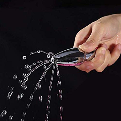 Professional Shower Enema Cleaning System with 59 Inch Hose - Silver