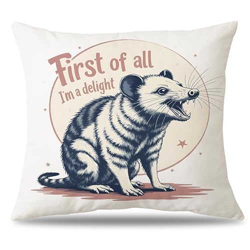 Opossum Throw Pillow Cover 18x18 Inch - Whimsical Animal Decor