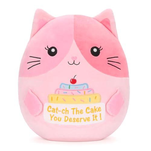 12 Inch Pink Cat Plush Pillow - Cute Stuffed Animal with Motivational Quote