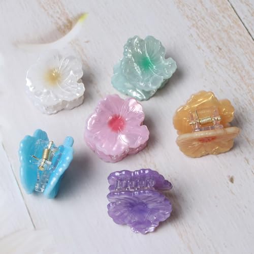 Cuizhiyu Mini Flower Hair Claw Clips Acrylic Beach Hair Accessories 6PK