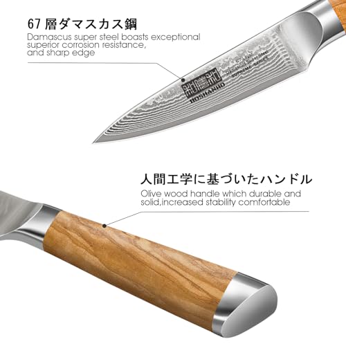 HOSHANHO Damascus Paring Knife 3.75 Inch Sharp Japanese HC Steel Fruit Knife - Unique Damascus Pattern