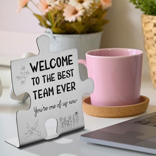 Welcome to the Best Team Ever Stainless Steel Desk Plaque