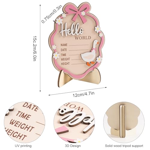Pink Wooden Hello World Baby Announcement Sign with Stand