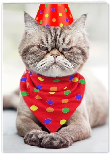 Grumpy Cat Birthday Card - Funny Greeting Card with Bonus Postcard