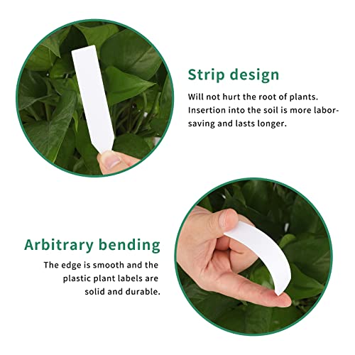 KINGLAKE 100 Pcs 4-Inch Plastic Plant Labels for Garden Use