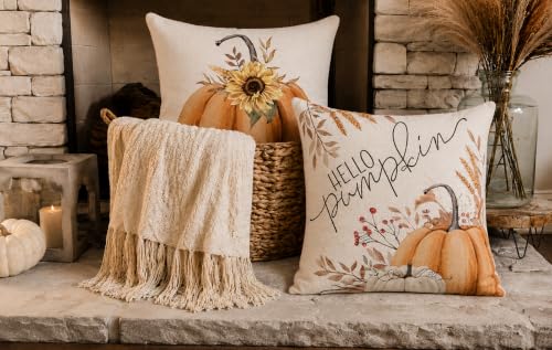 Auomily 18x18 Inch Double-Sided Fall & Christmas Throw Pillow Covers, Set of 2
