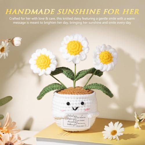 Happy Birthday Gift Basket for Women Mom Sister - Daisy Deluxe Set