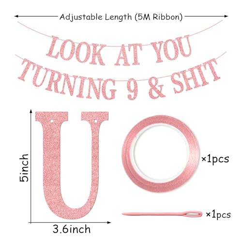 Sweet 9th Birthday Banner Pink Glitter Party Decor with Hanging Kit