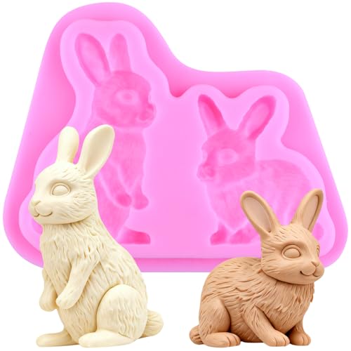 Easter Rabbit Silicone Fondant Mold for Cake & Candy Decoration
