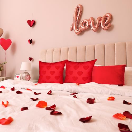 Valentine's Day Heart Throw Pillow Covers Set of 2 18x18 Inch Decorative Cushion Cases