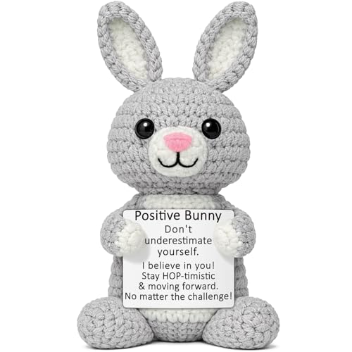 WELLBANEE Positive Crochet Bunny Gift for Daughter | Cute Decor