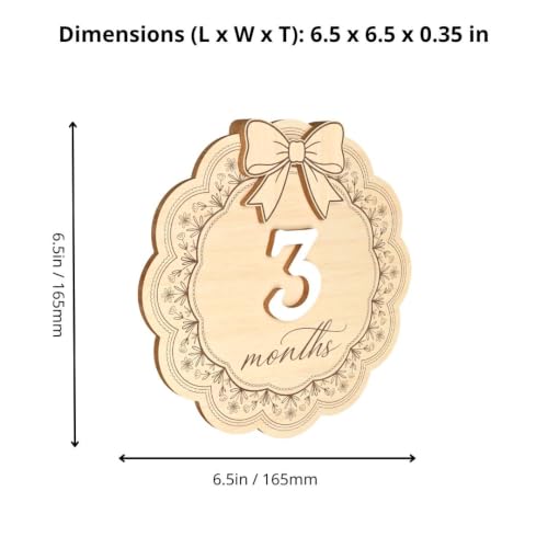 3D Baby Monthly Milestone Signs - Girls 1-12 Months with Wooden Bow